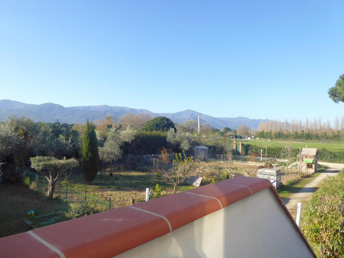 Hotel Mas Picton Argelès-sur-Mer Esterno foto