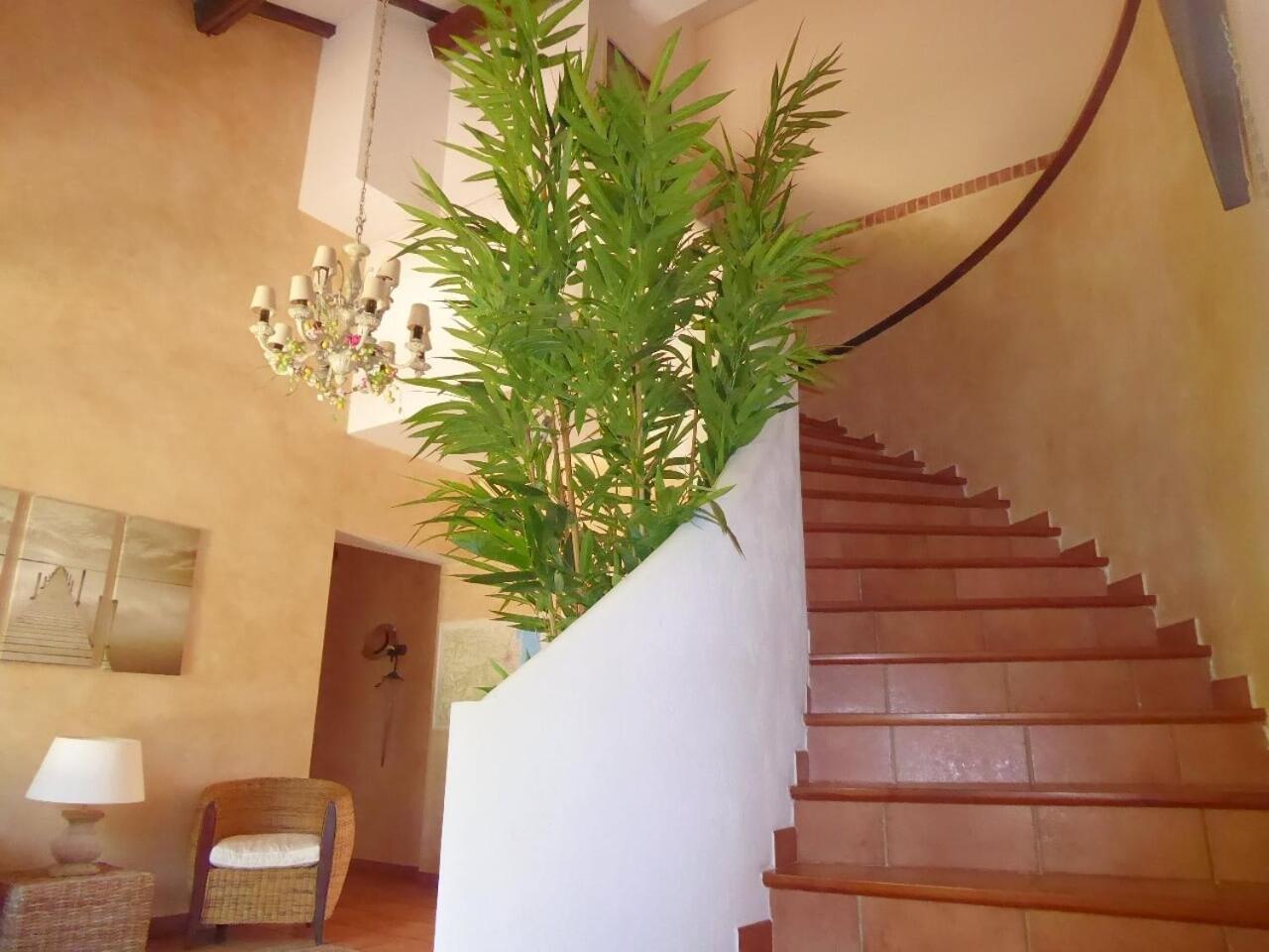 Hotel Mas Picton Argelès-sur-Mer Esterno foto